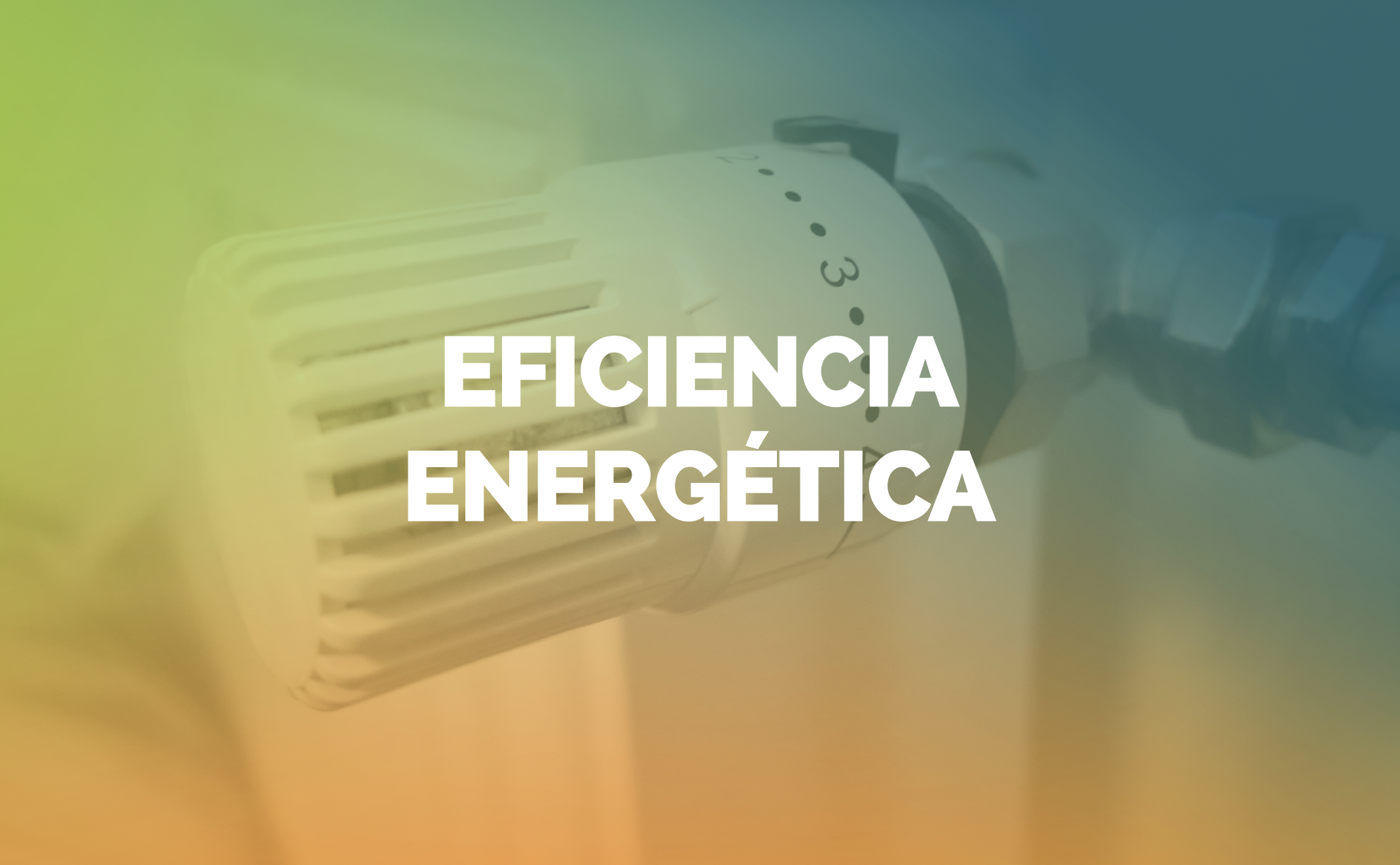 EFICIENCIA